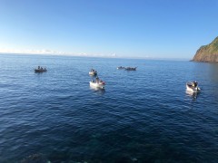 Torneio de pesca desportiva Alto Mar com mais de 30 participantes e 7 embarcações